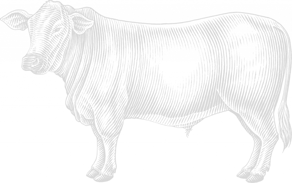 Avon Prime Meats Avon's Top Butcher, Prime Meat Market